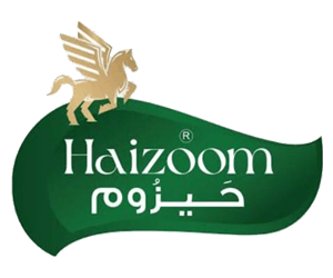 Haizoom Logo